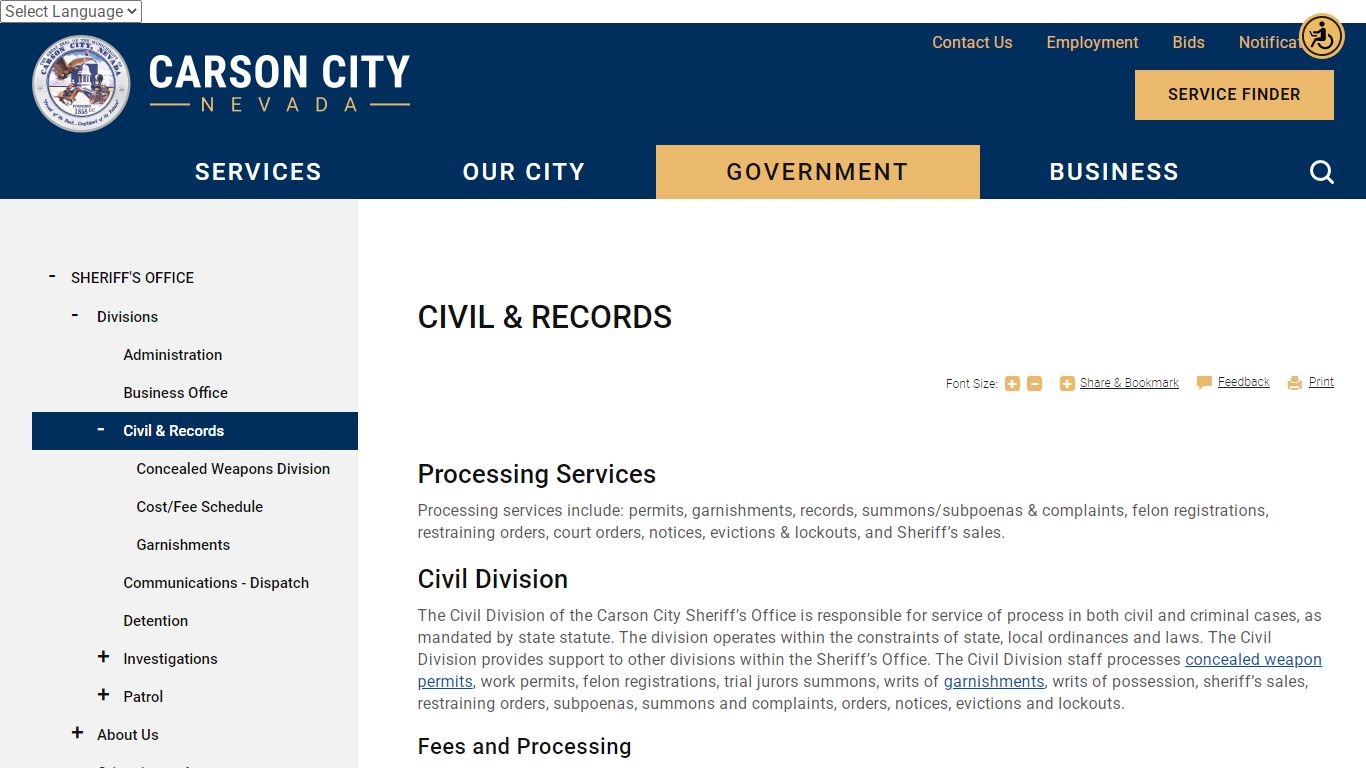 Civil & Records | Carson City
